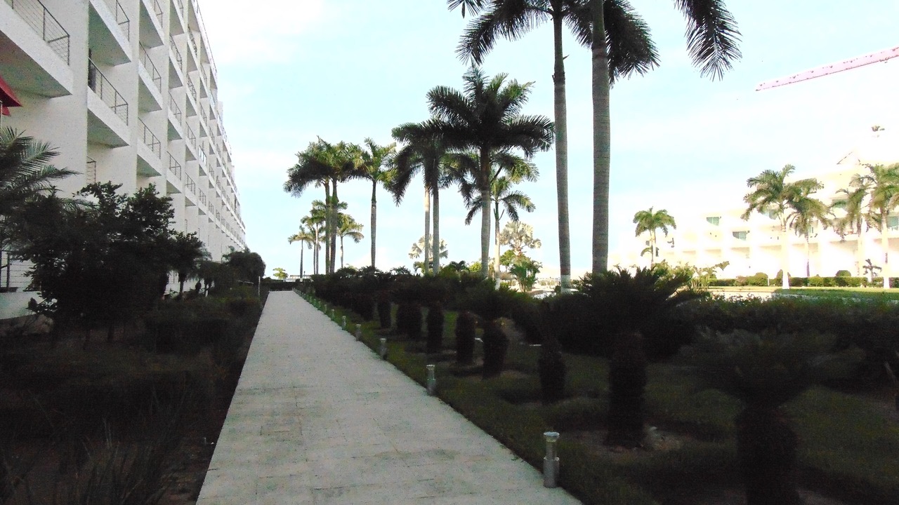 Photo of Outdoor in Flamingos