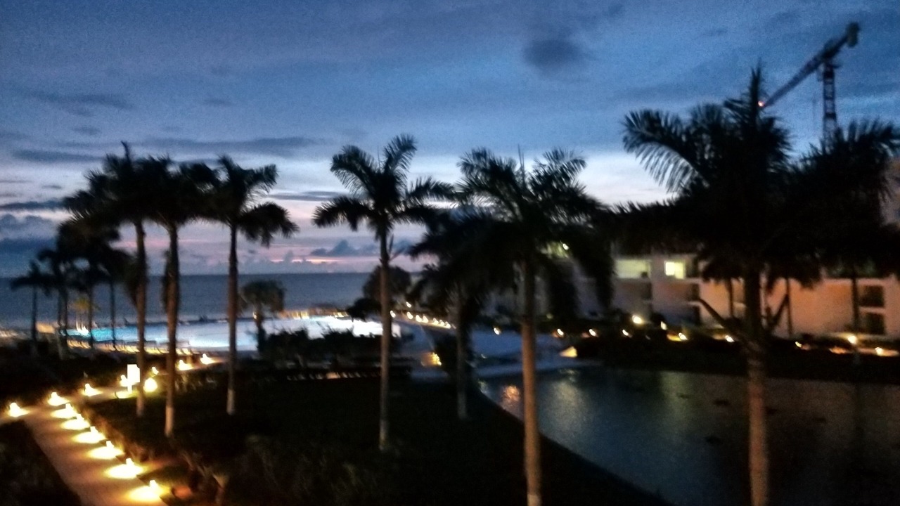 Photo of Outdoor in Flamingos