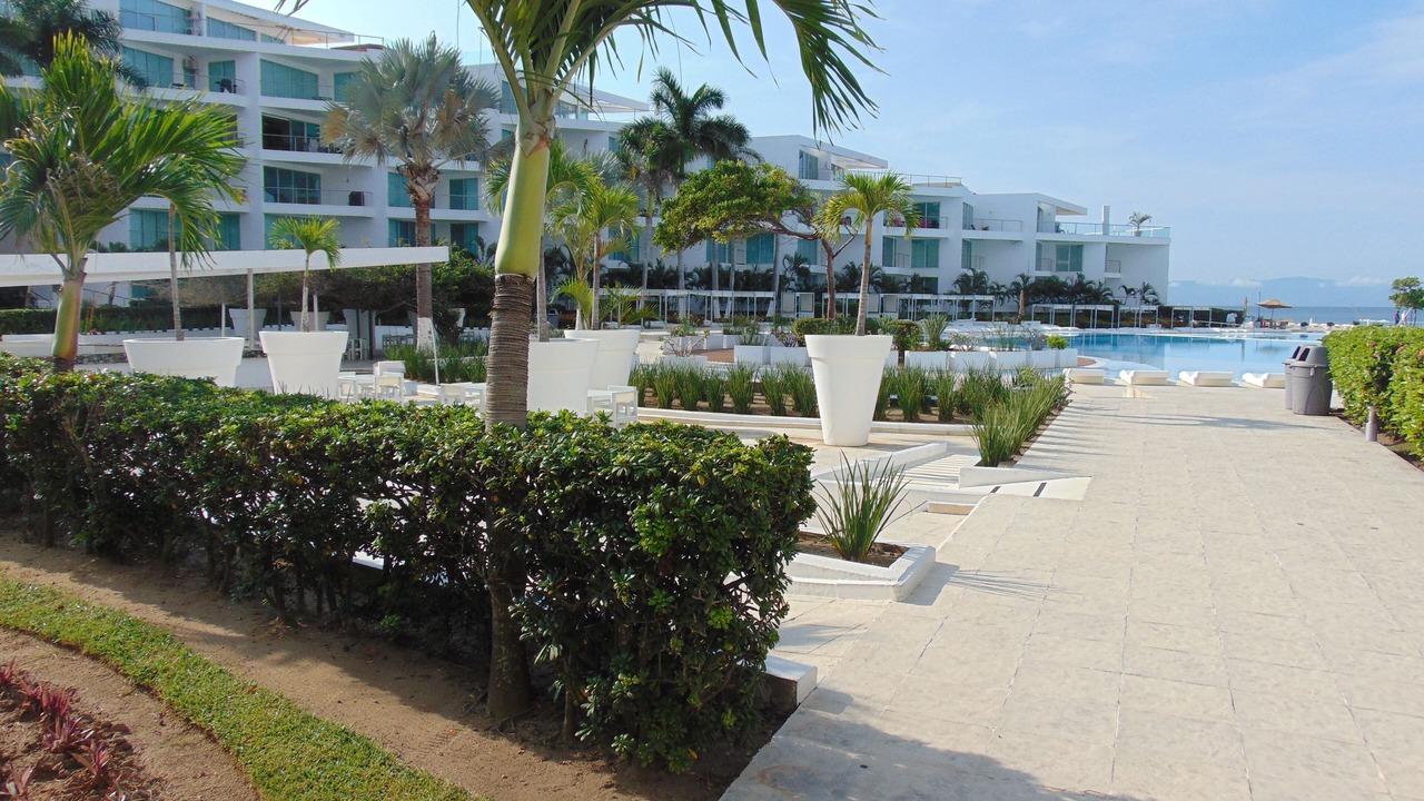 Photo of Outdoor in Flamingos