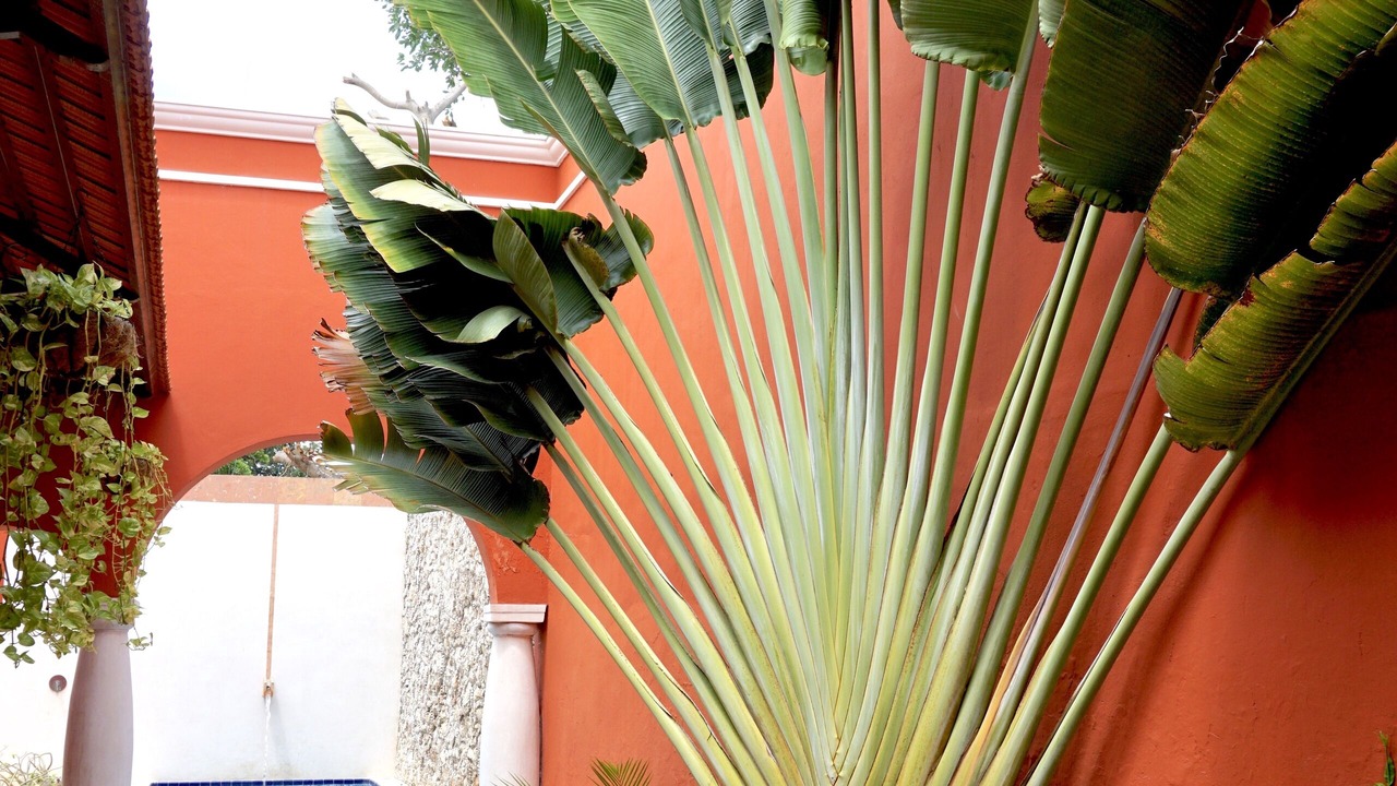 Photo of Outdoor in Centro