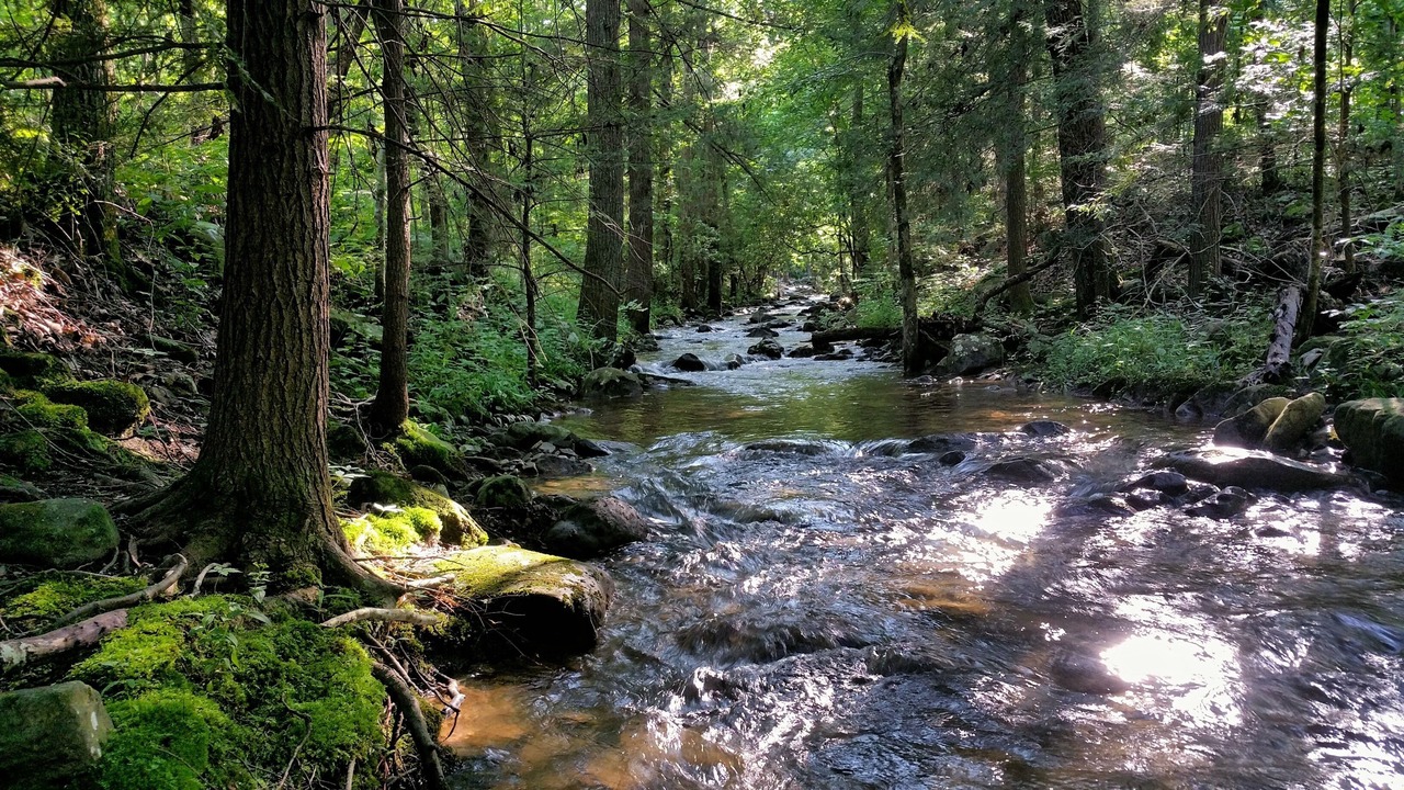 Photo of Others in Sequatchie