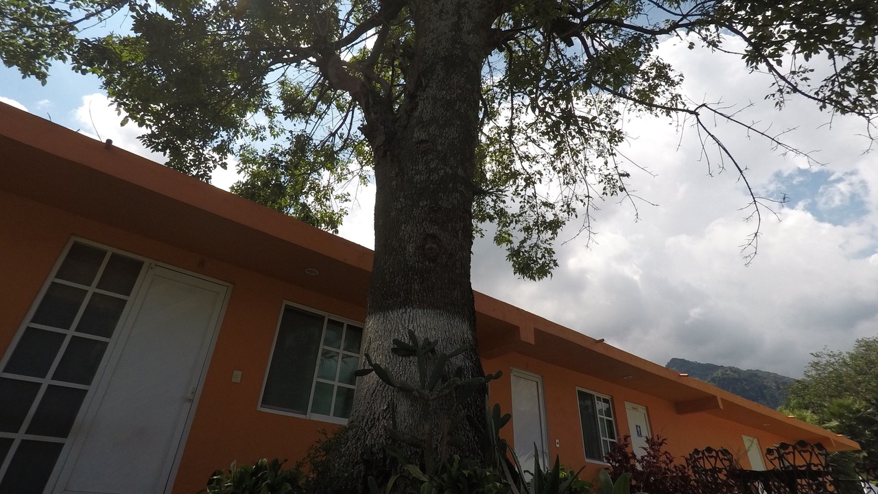 Photo of Outdoor in Tepoztlan
