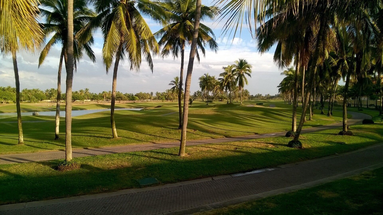 Photo of Others in Mazatlan