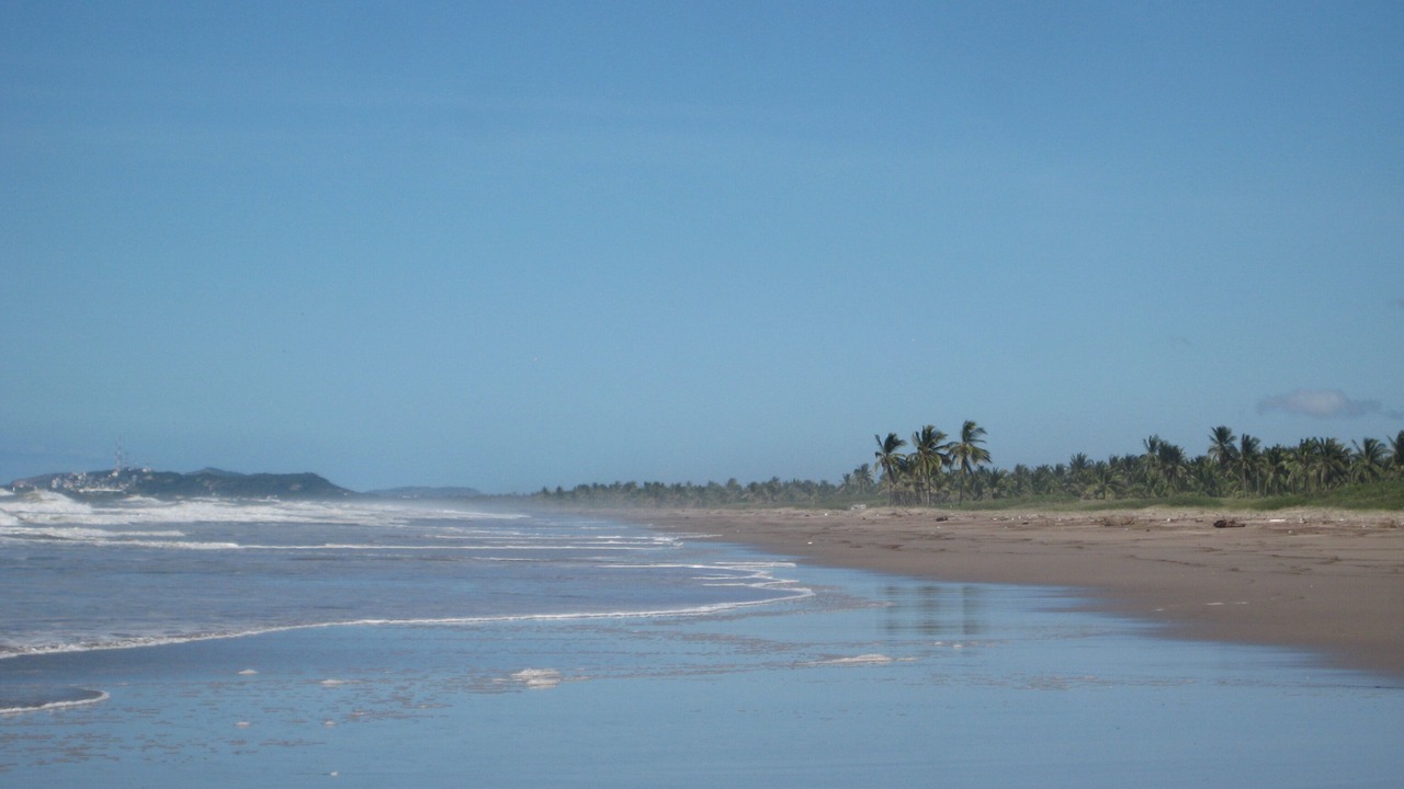 Photo of Others in Mazatlan