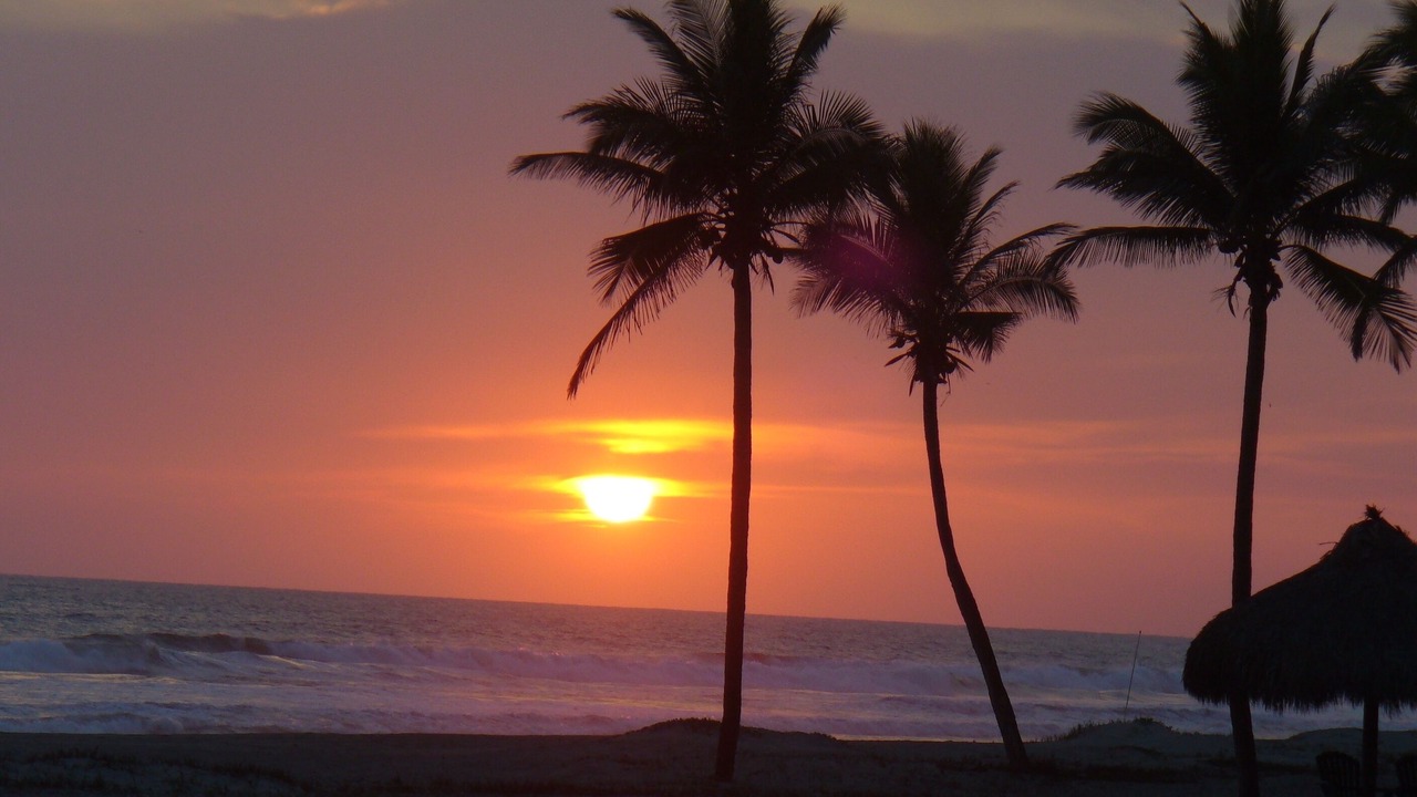 Photo of Others in Mazatlan