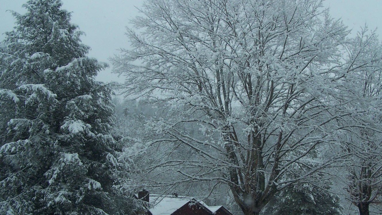 Photo of Others in Kegley