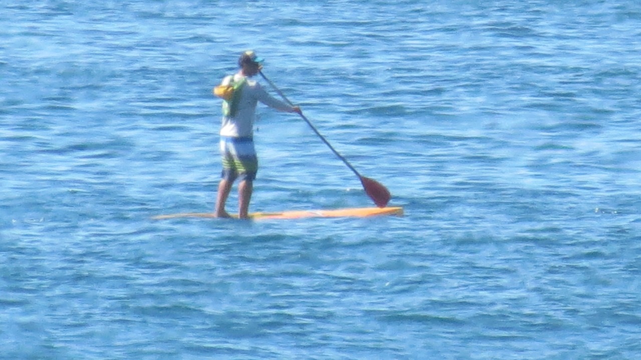 Photo of Others in Zona Hotelera