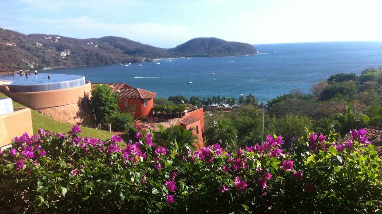 Photo of Others in Ixtapa - Zihuatanejo