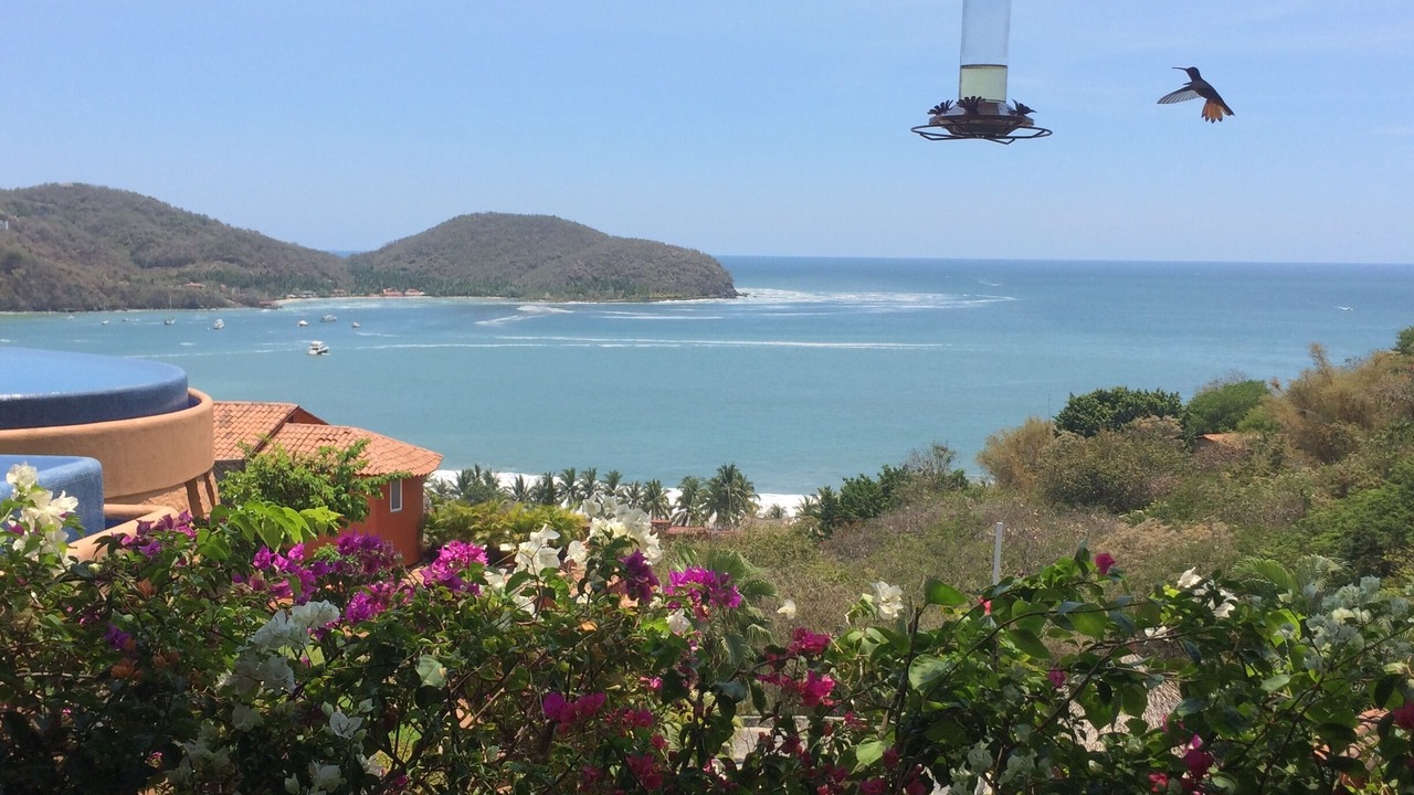 Photo of Others in Ixtapa - Zihuatanejo