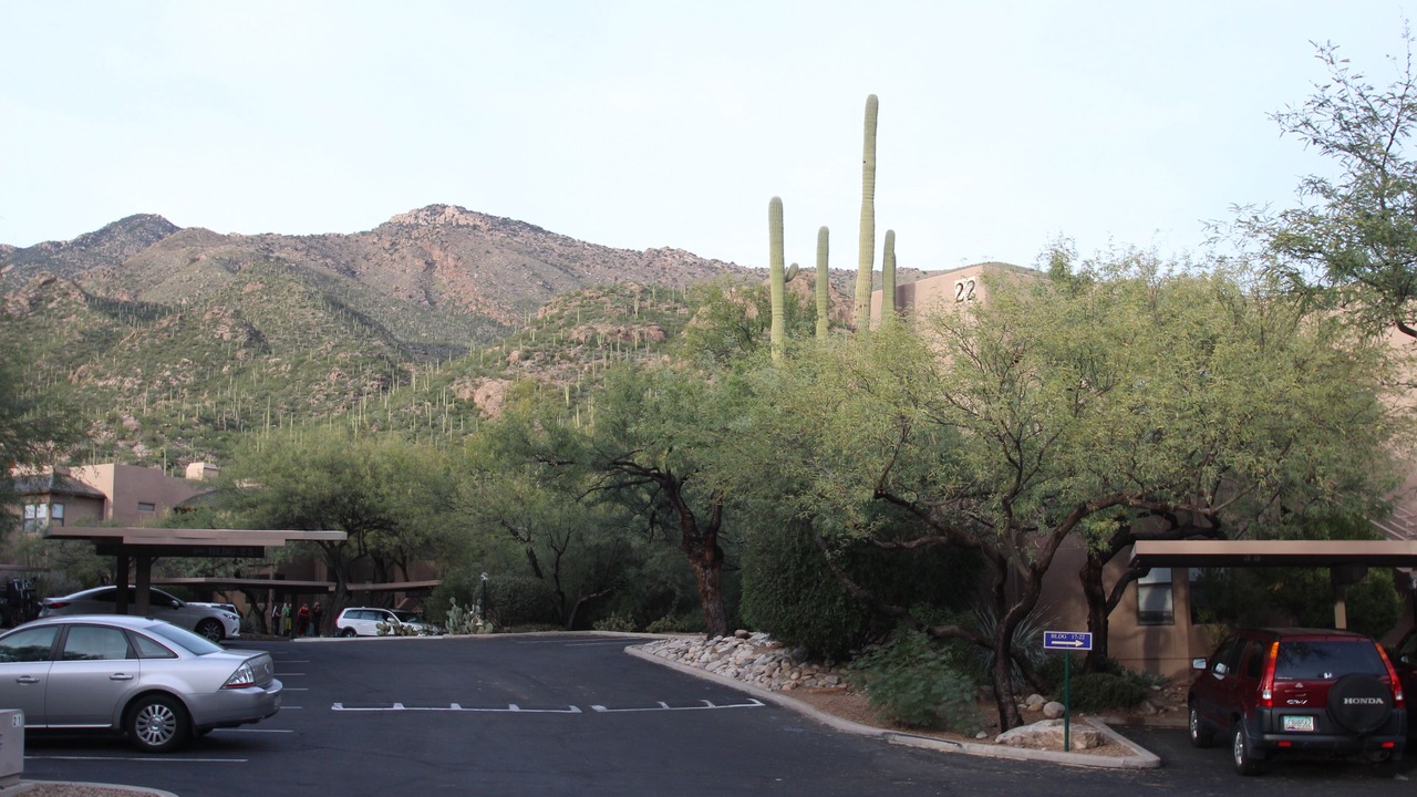 Photo of Others in Tucson