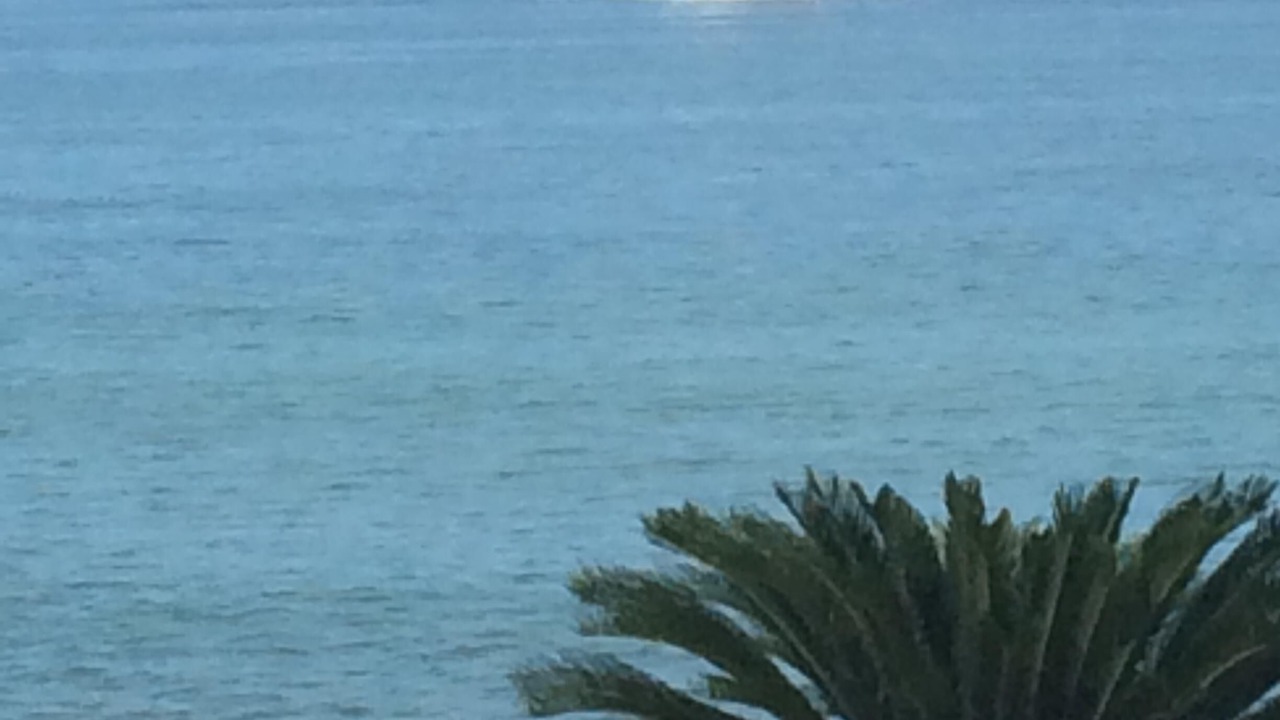 Photo of Others in North Hotel Zone