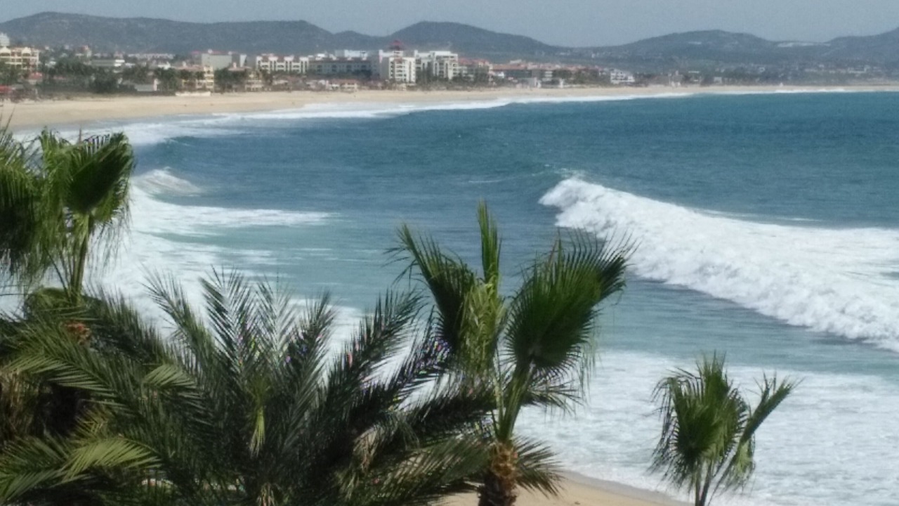 Photo of Others in Palmilla