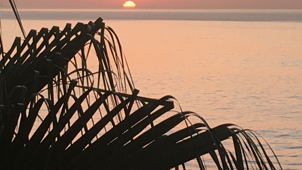 Photo of Others in Palmilla