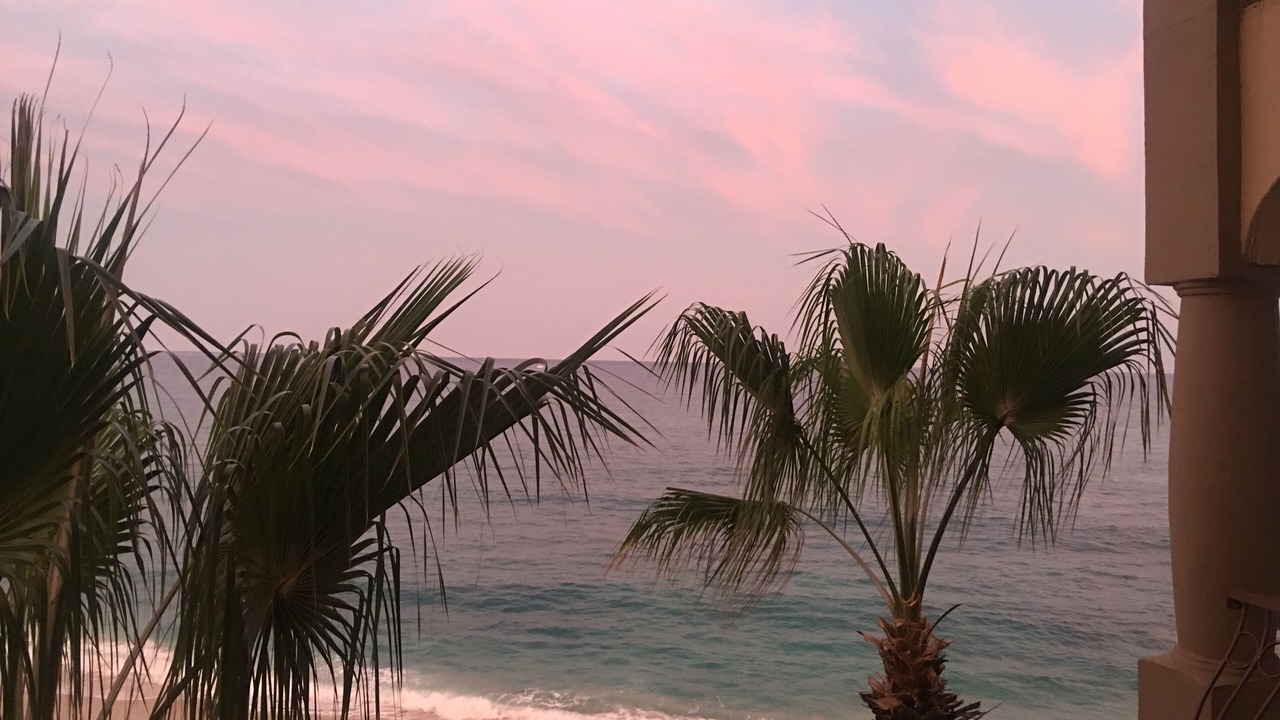 Photo of Others in Palmilla
