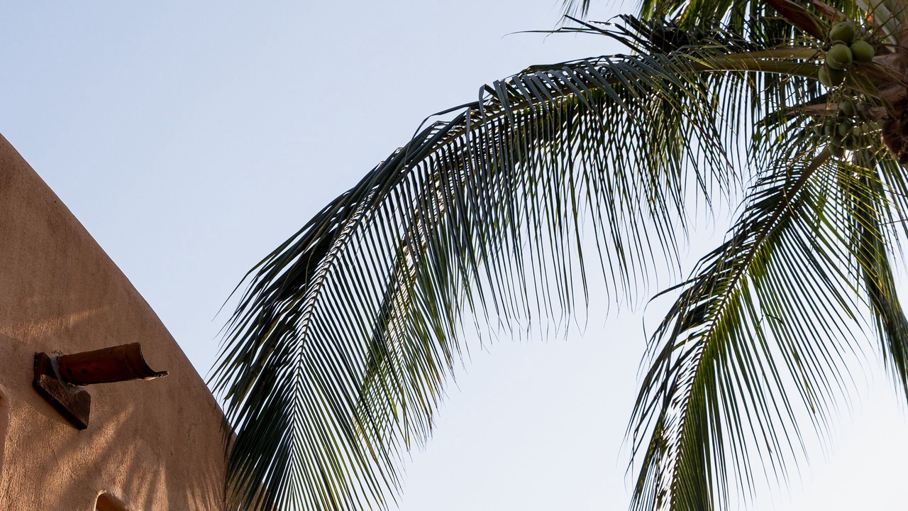 Photo of Outdoor in Hidalgo