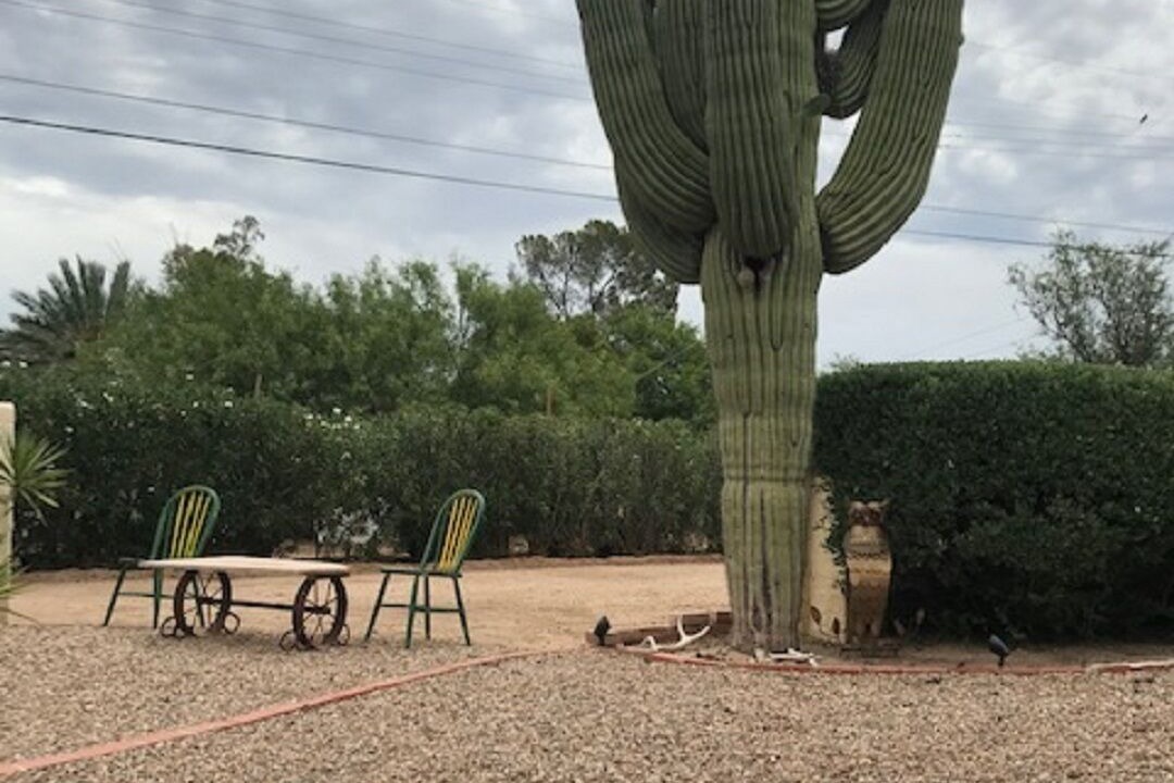 Photo of Others in The Garden District