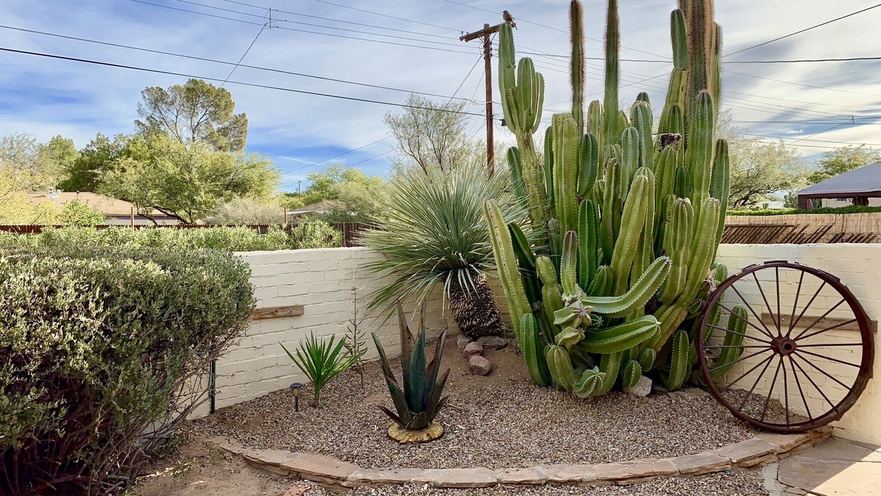 Photo of Outdoor in The Garden District