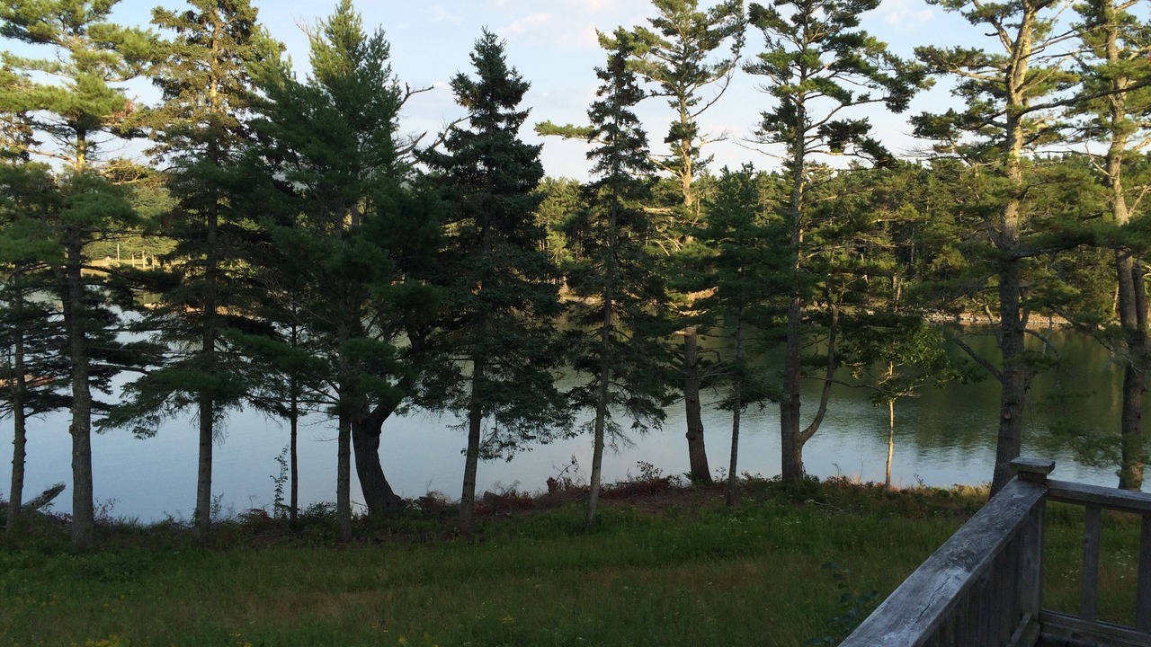 Photo of Outdoor in Mount Desert