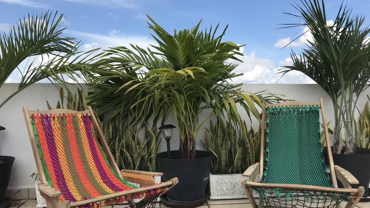 Photo of Patio Balcony in Merida Municipality