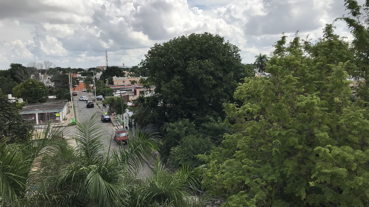 Photo of Others in Merida Municipality