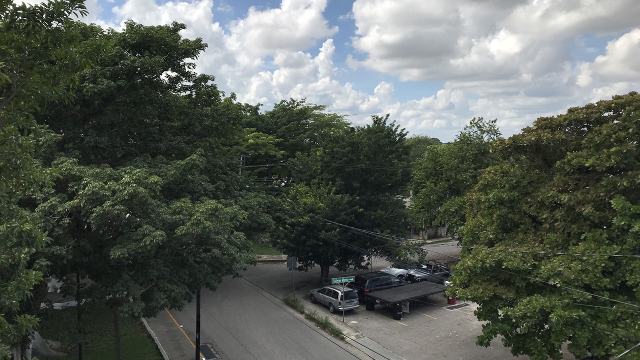 Photo of Outdoor in Merida Municipality
