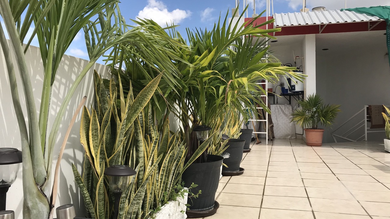 Photo of Outdoor in Merida Municipality