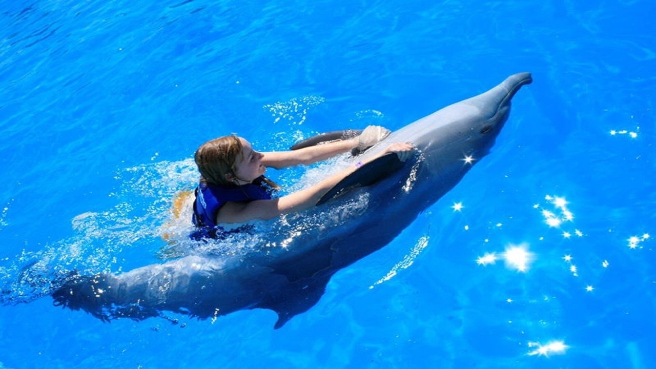 Photo of Outdoor in Los Cabos