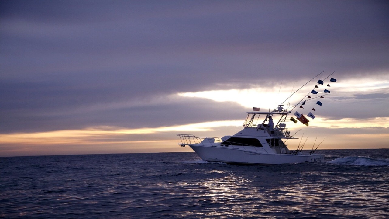 Photo of Others in Los Cabos