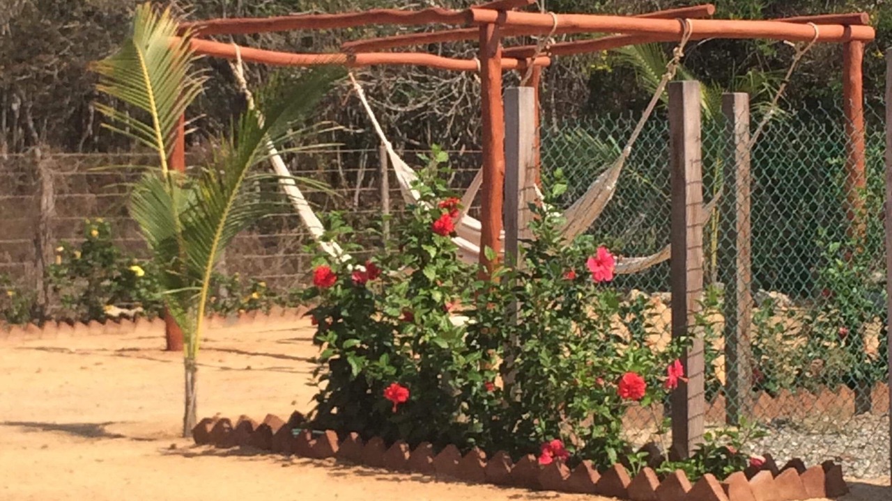 Photo of Outdoor in Troncones