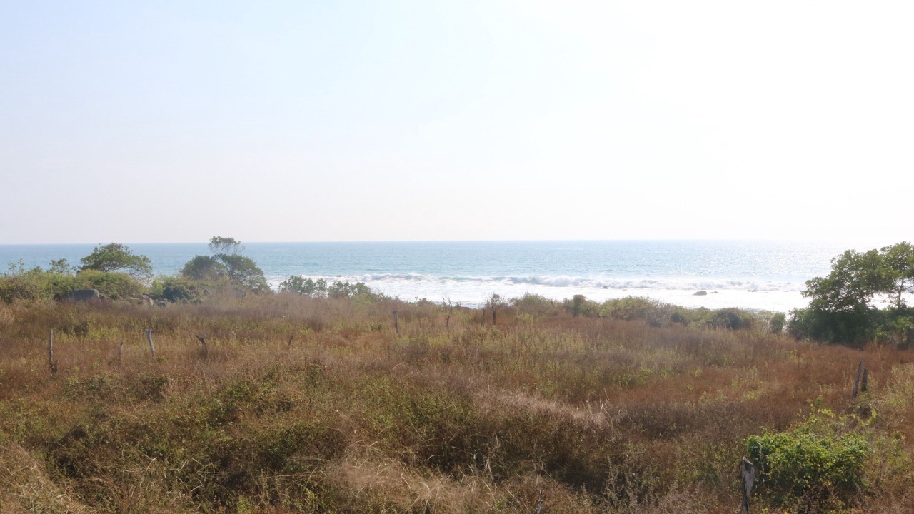 Photo of Others in Troncones