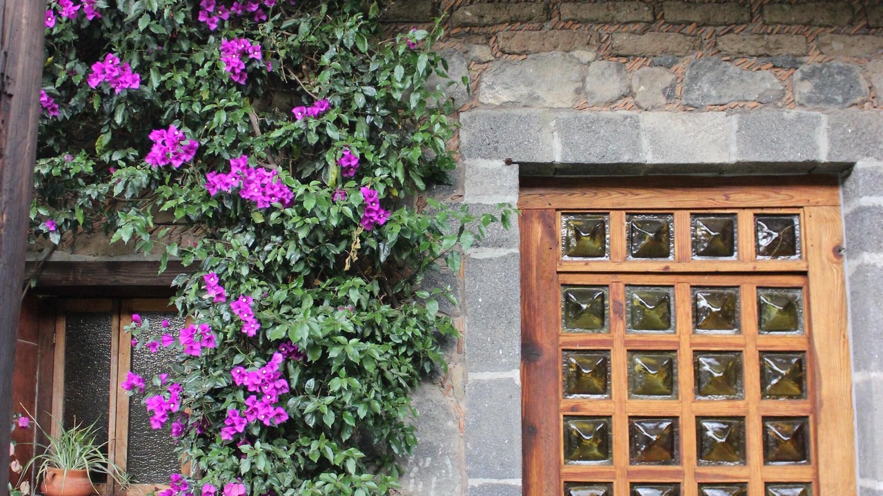 Photo of Outdoor in Jocotitlan