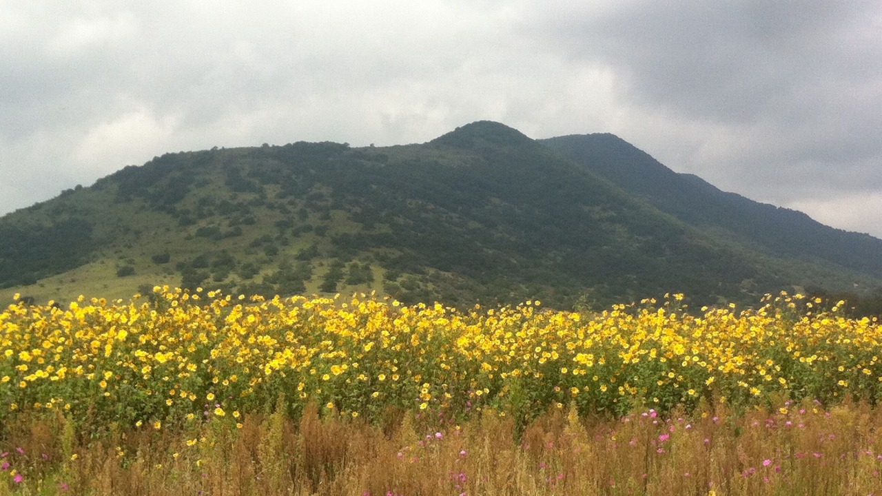 Photo of Outdoor in Chapa de Mota