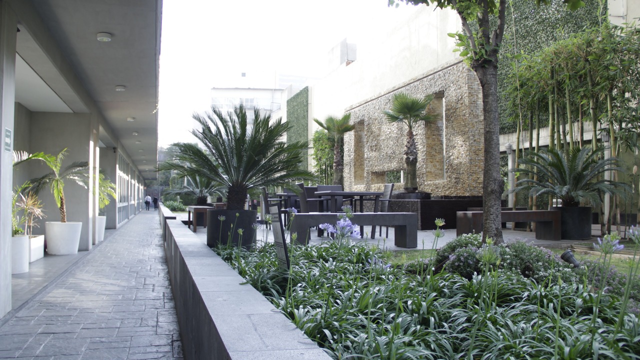 Photo of Outdoor in Del Valle