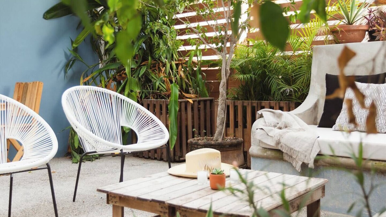 Photo of Others in Sayulita