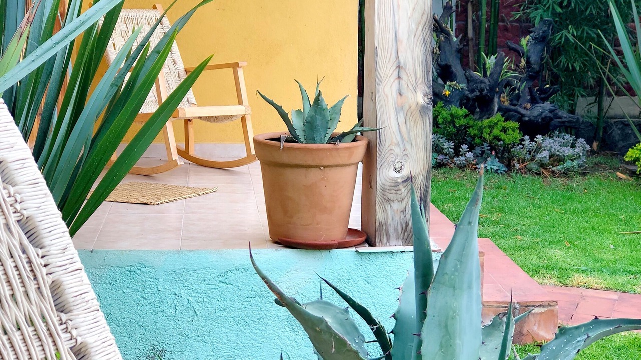 Photo of Others in Santa Fe de la Laguna