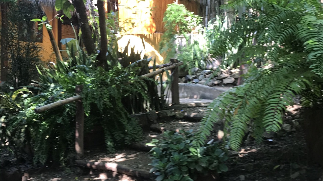 Photo of Outdoor in Ixtapa - Zihuatanejo