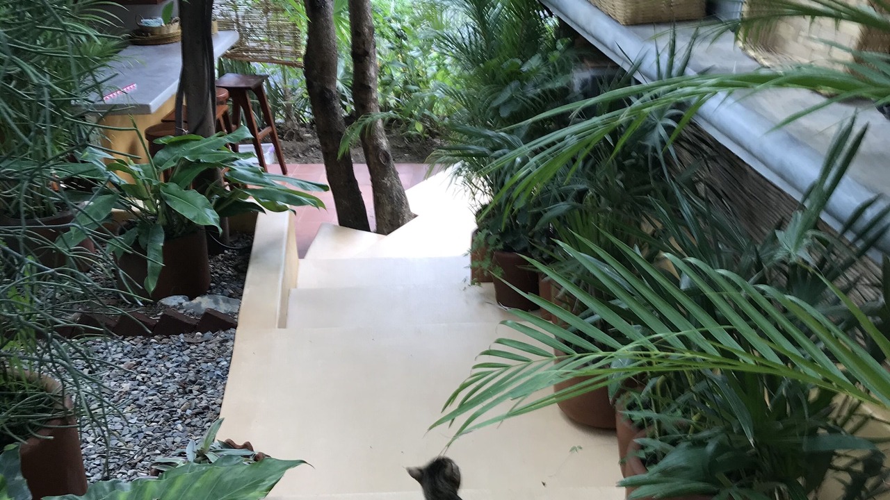 Photo of Others in Ixtapa - Zihuatanejo