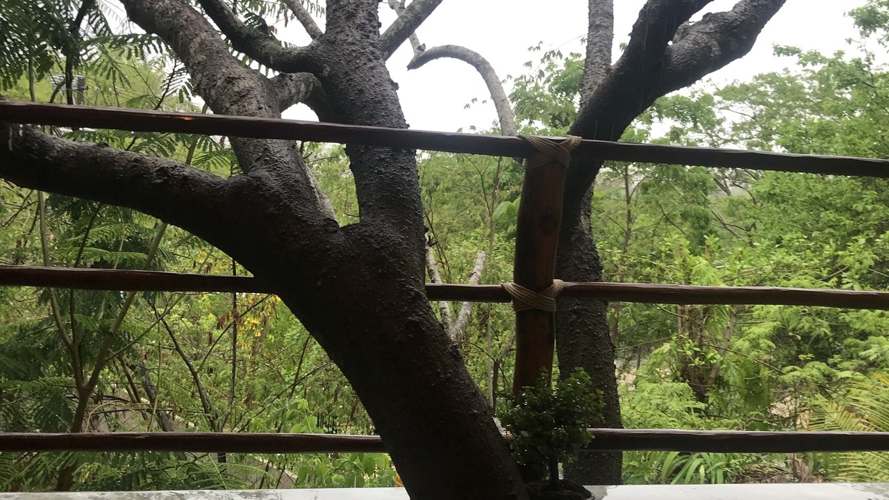 Photo of Patio Balcony in Ixtapa - Zihuatanejo