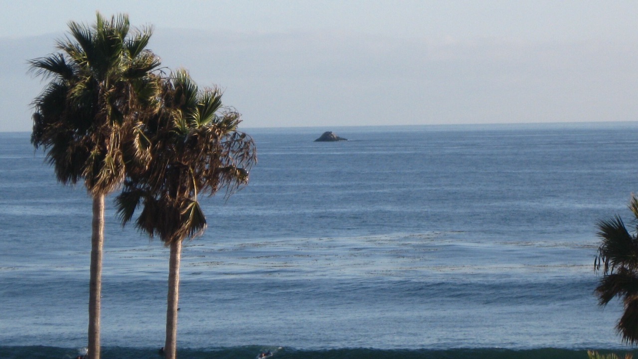 Photo of Others in Las Gaviotas