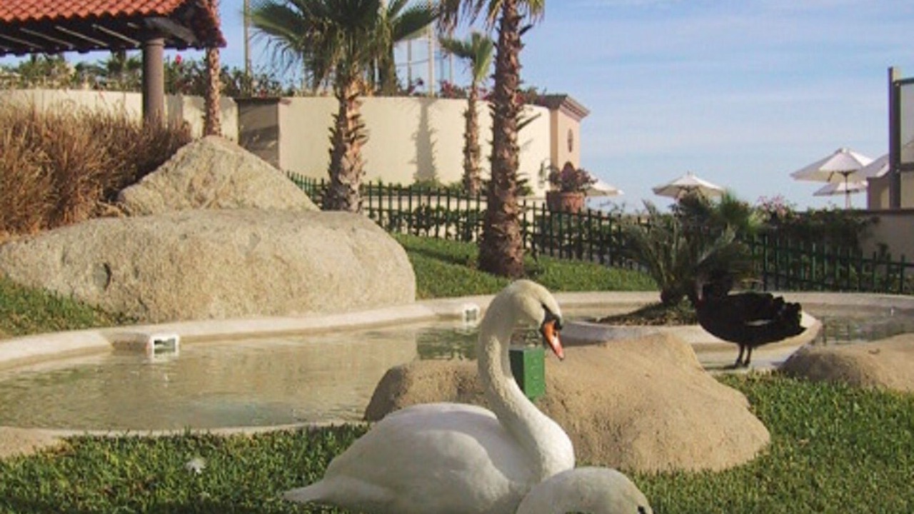 Photo of Outdoor in Paraiso Escondido