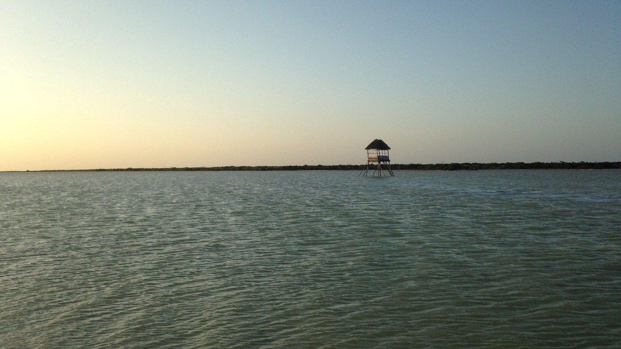 Photo of Others in El Cuyo