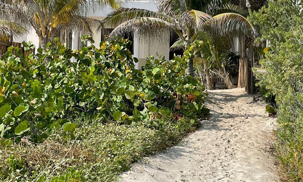 Photo of Outdoor in El Cuyo