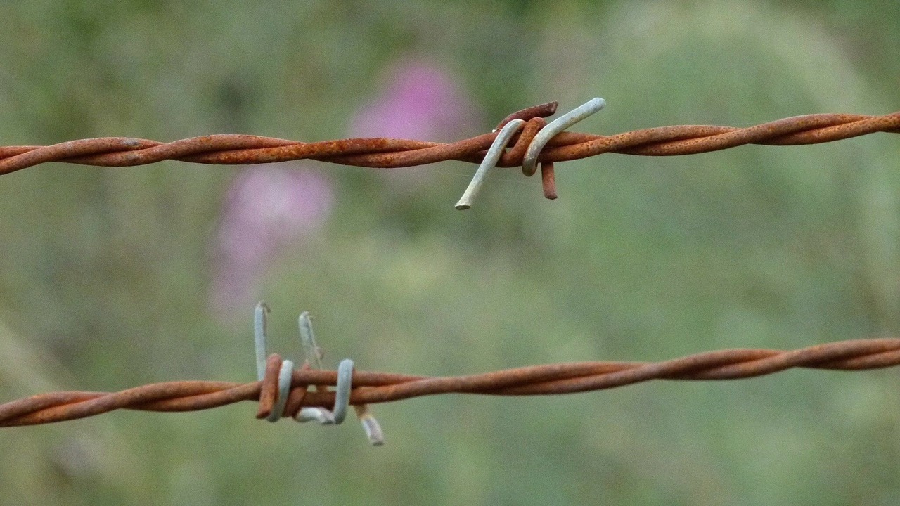 Photo of Others in Arteaga