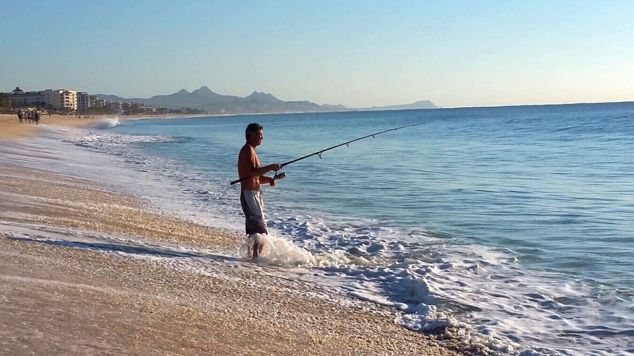 Photo of Others in San Jose del Cabo