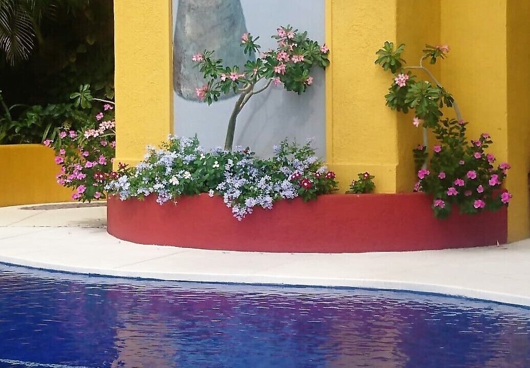 Photo of Outdoor in Ixtapa - Zihuatanejo