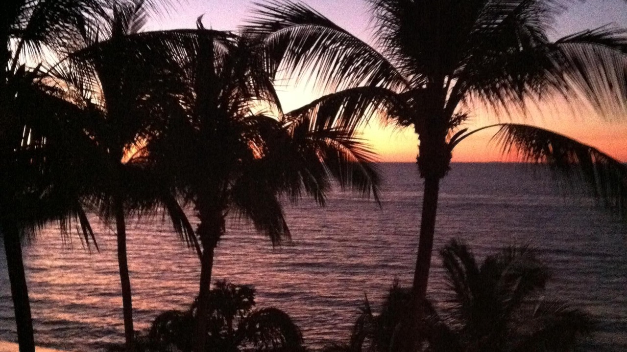 Photo of Outdoor in South Shore Hotel Area