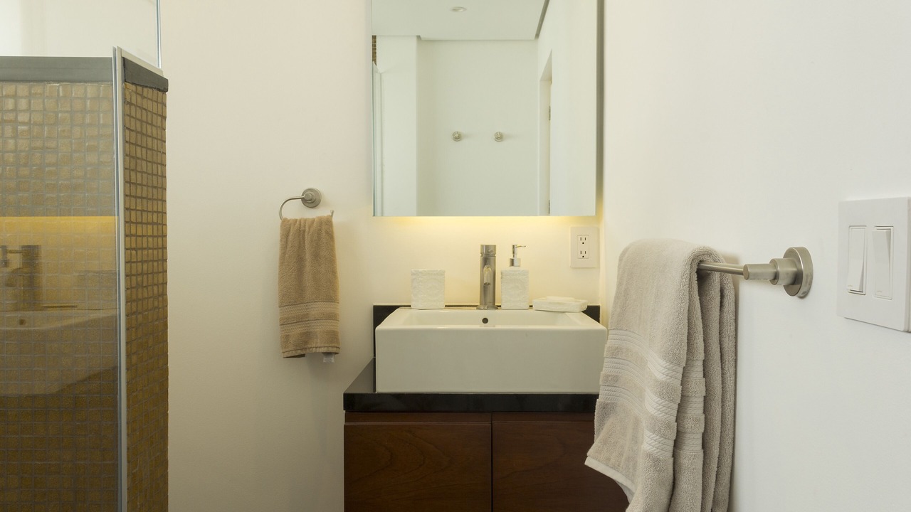 Photo of Bathroom in Colonia Cuauhtemoc