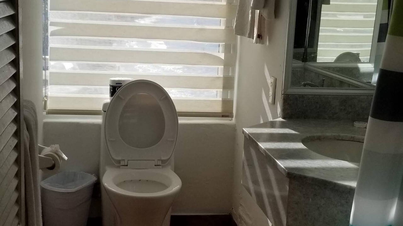 Photo of Bathroom in Zona Dorada