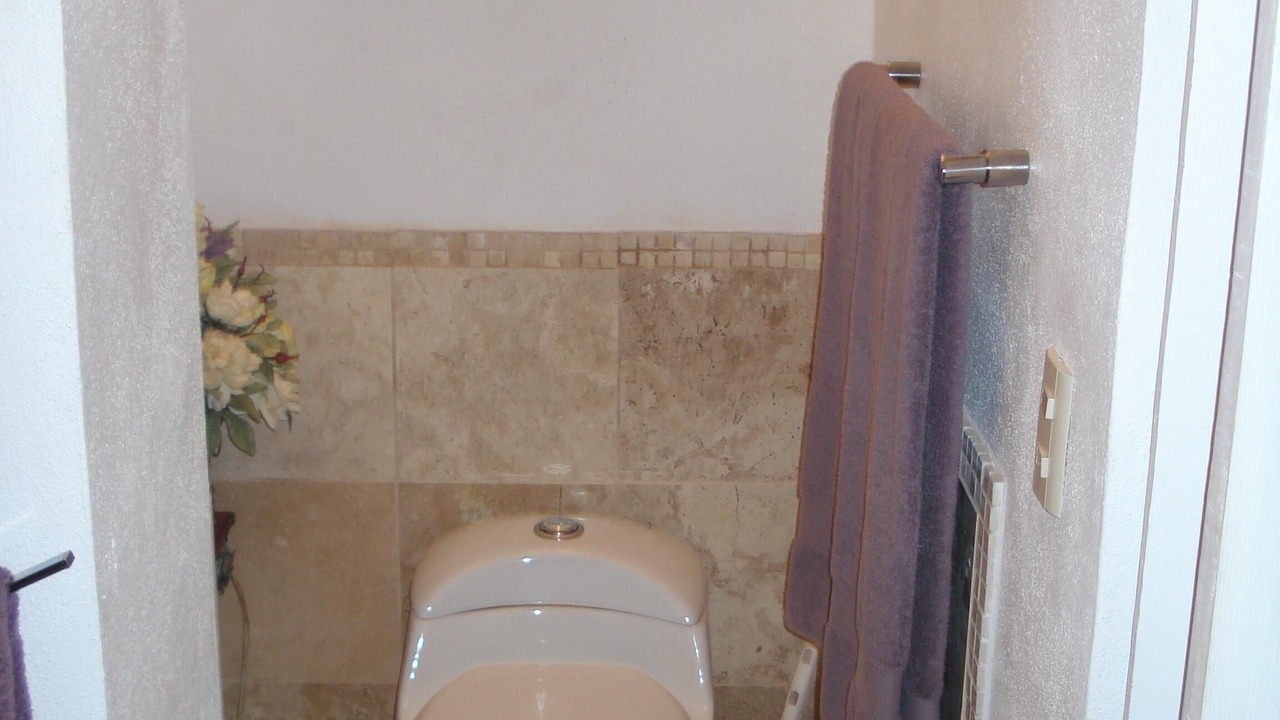Photo of Bathroom in Downtown Puerto Vallarta