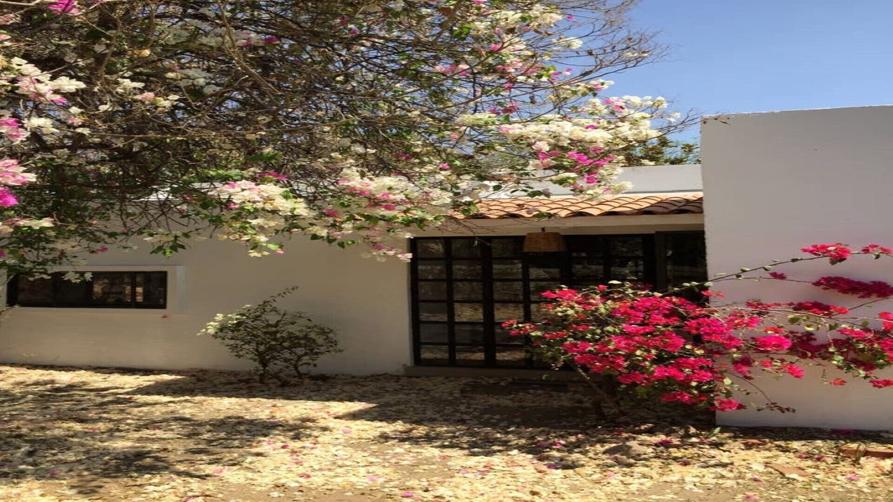Photo of Outdoor in Jiutepec